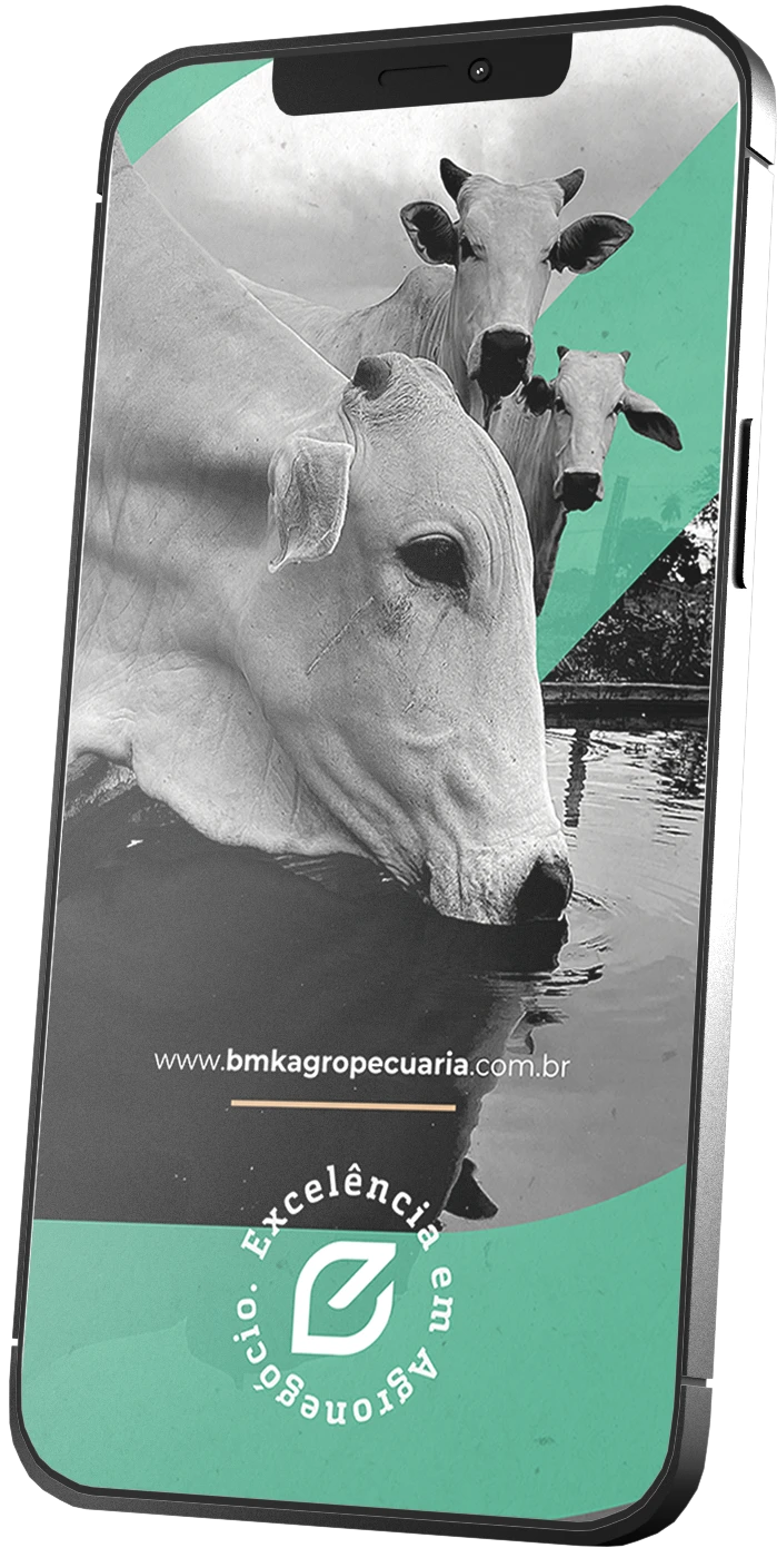 bmk-2026-mockup-smartphone